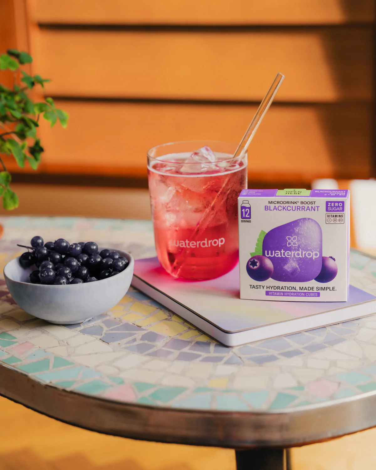 BLACKCURRANT - Image 3
